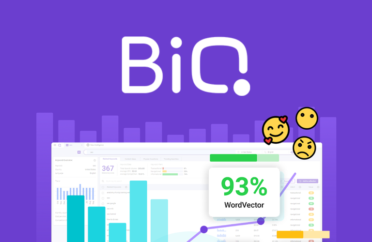 BiQ: Fast-track your way to higher traffic and search engine rankings