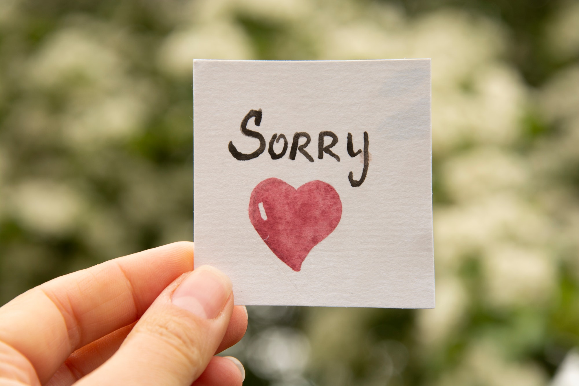 I'm sorry lettering. Sorry inscription.