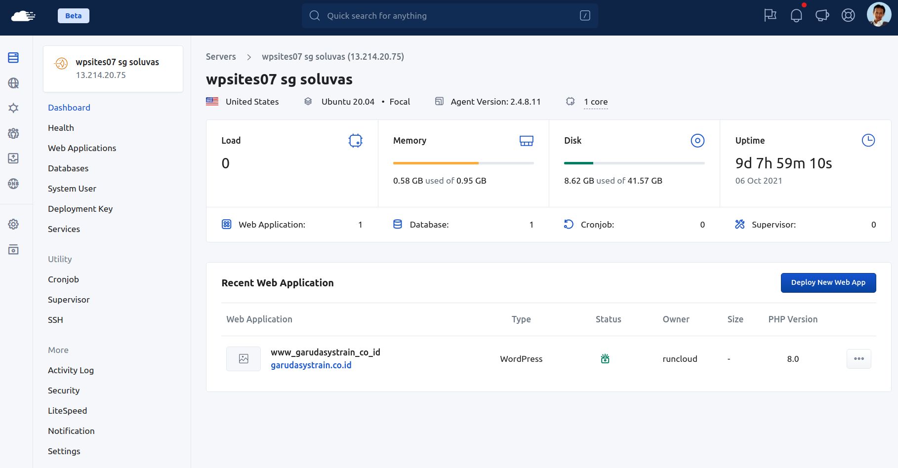 Server management dashboard in RunCloud